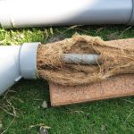 No.330　#水耕栽培トマト