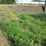 No.332  #畑の草刈り